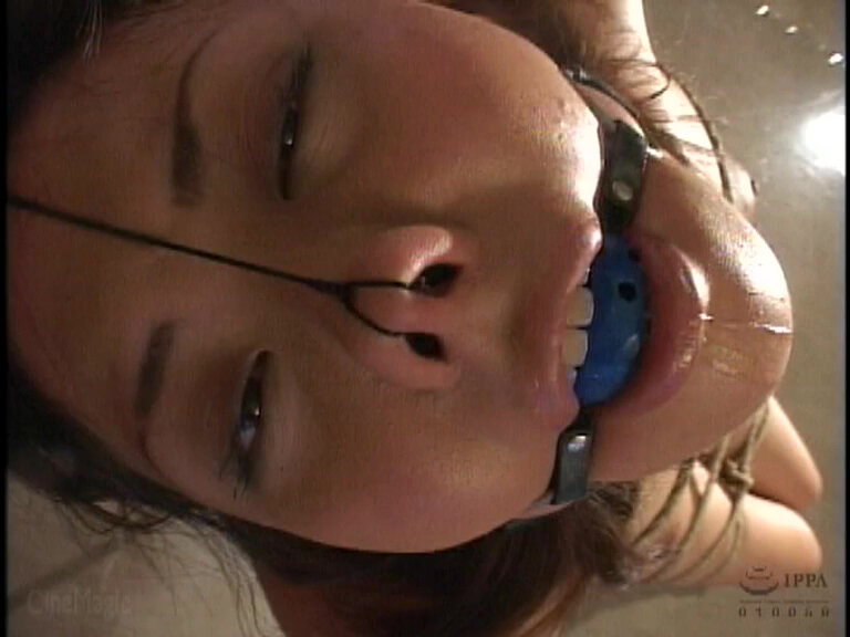 サンプル画像 9