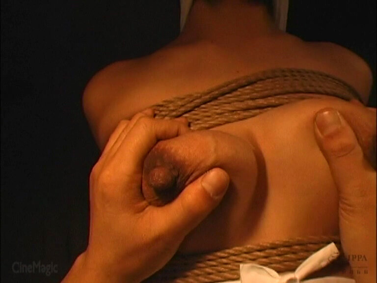 サンプル画像 8