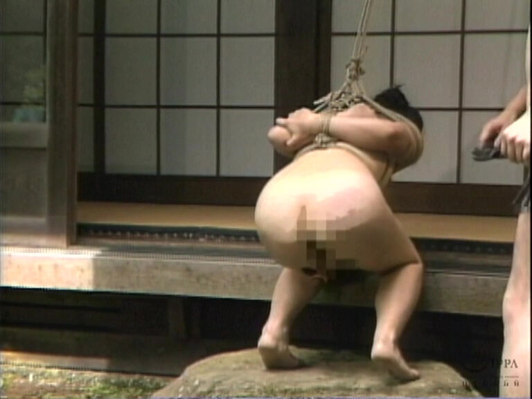 サンプル画像 7