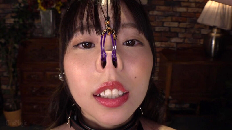 サンプル画像 5