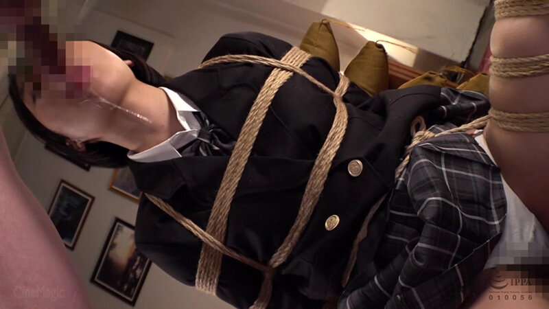 サンプル画像 3