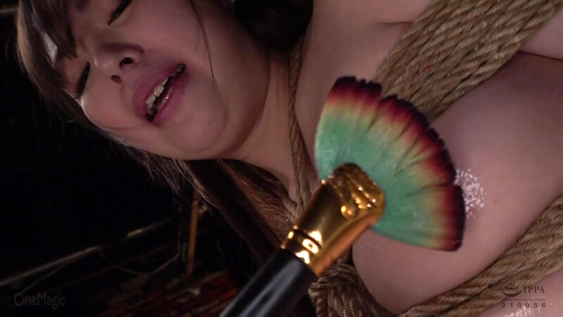 サンプル画像 10