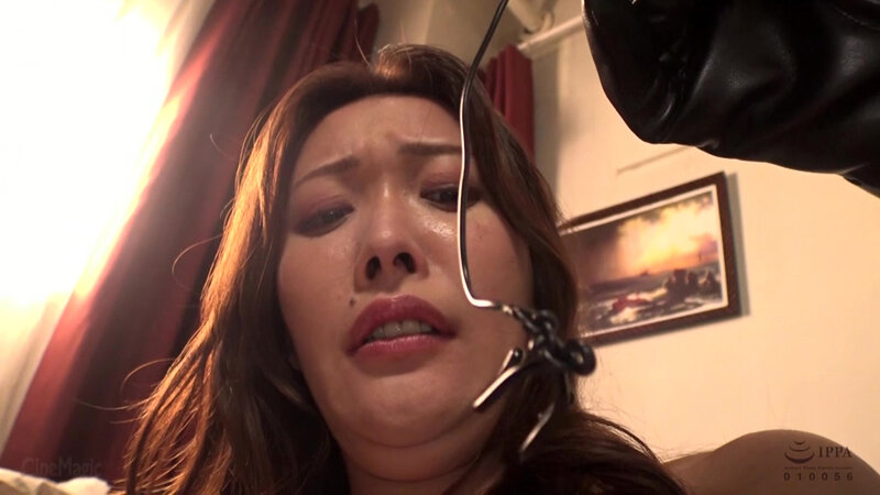 サンプル画像 14