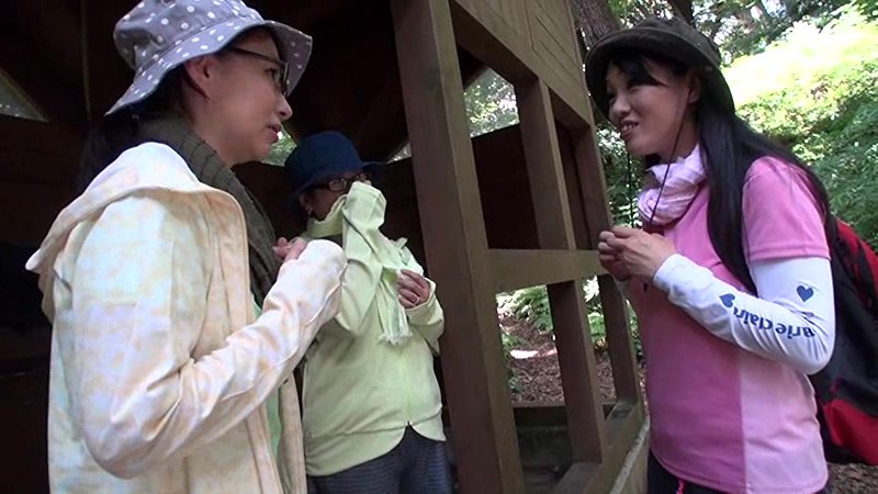 サンプル画像 10