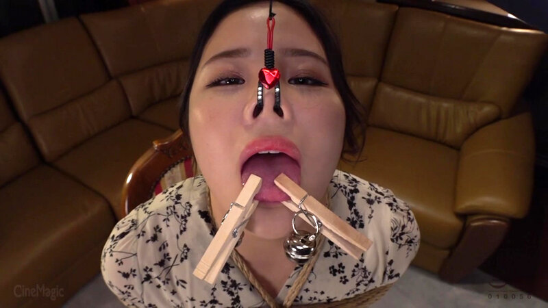 サンプル画像 8