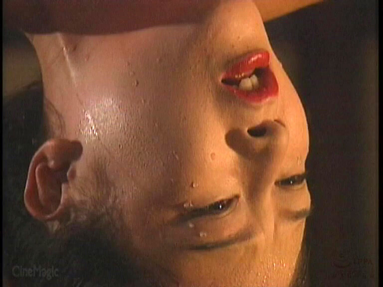 サンプル画像 19