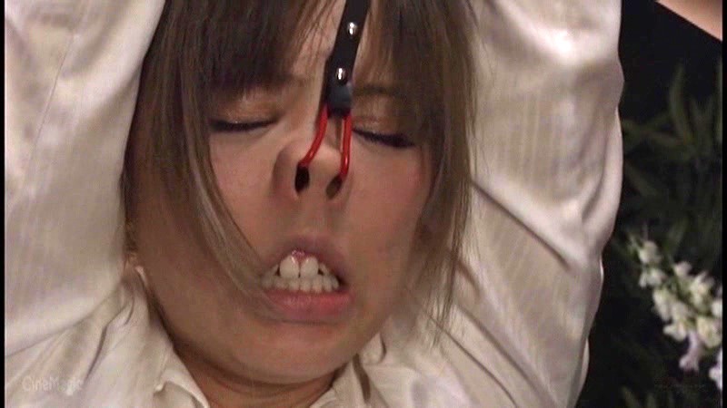 サンプル画像 5