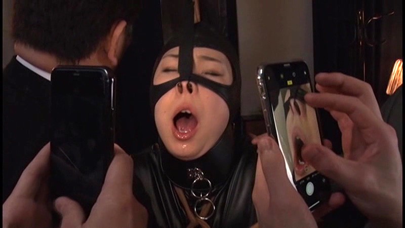 サンプル画像 5