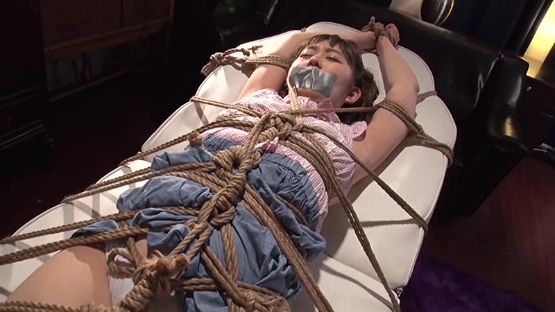 サンプル画像 14