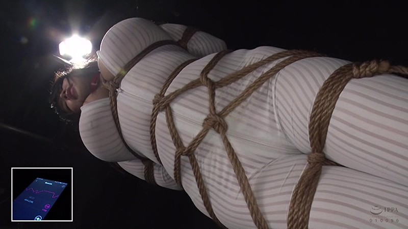 サンプル画像 8