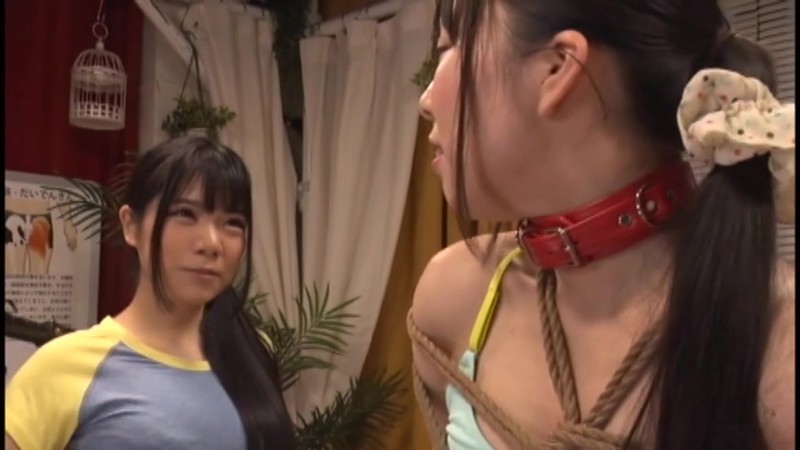 サンプル画像 7