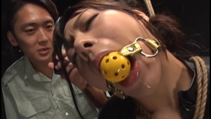 サンプル画像 10