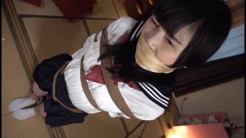 サンプル画像 17