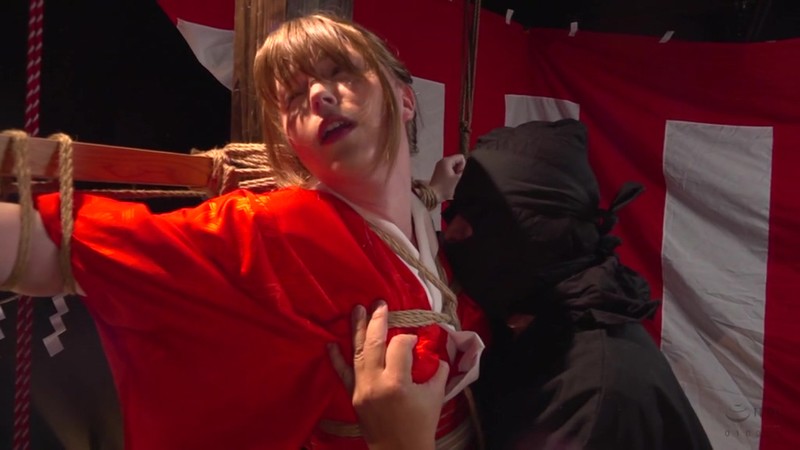 サンプル画像 13