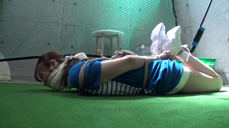 サンプル画像 3