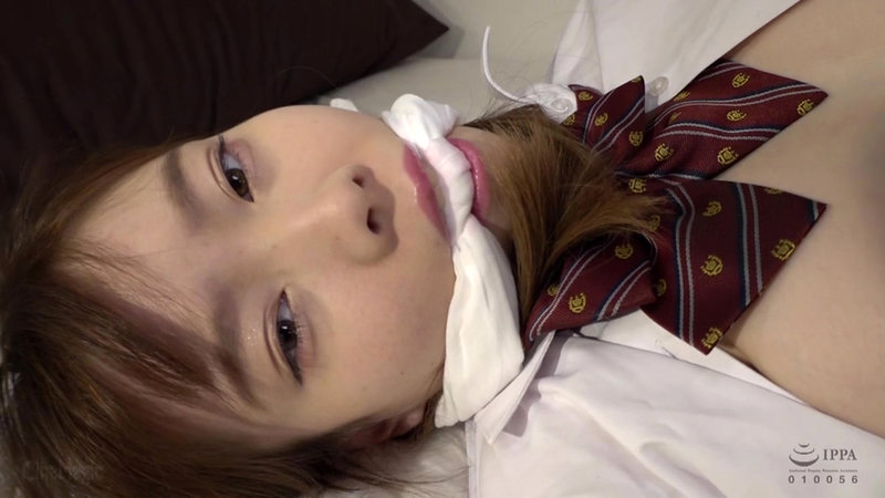 サンプル画像 5