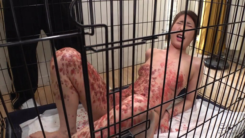 サンプル画像 7