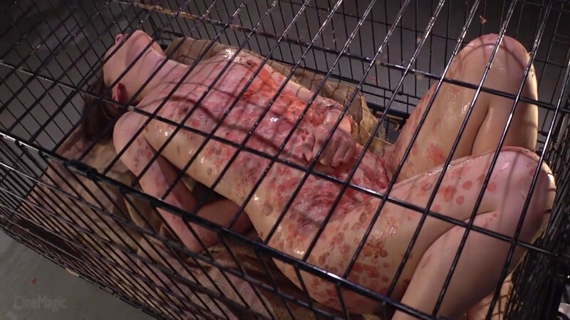 サンプル画像 6