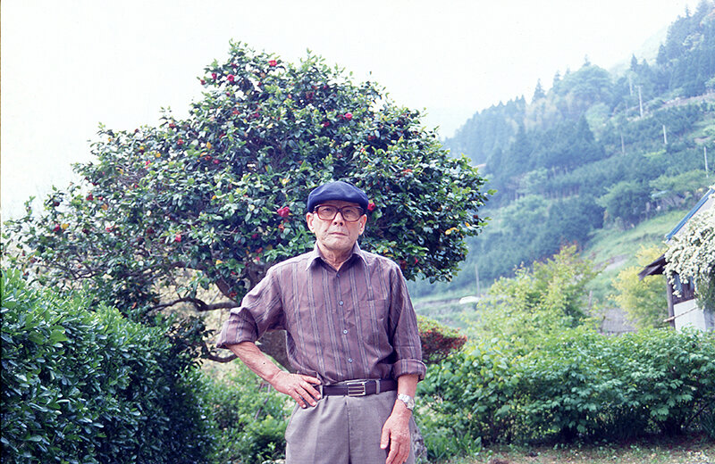 サンプル画像 4