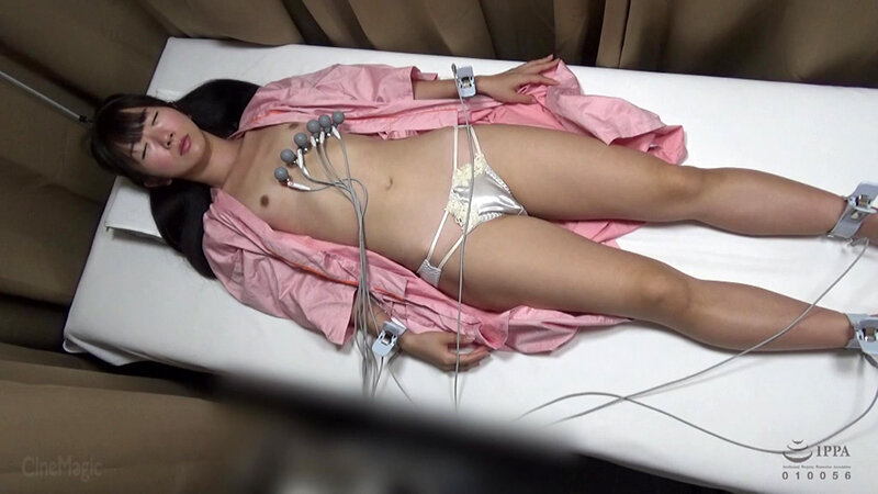 サンプル画像 5