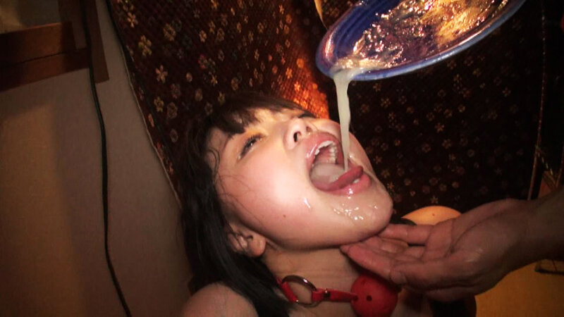 サンプル画像 14