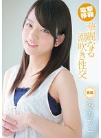 パッケージ画像