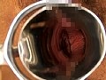 サンプル画像 23