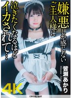 パッケージ画像
