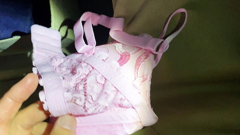 サンプル画像 8