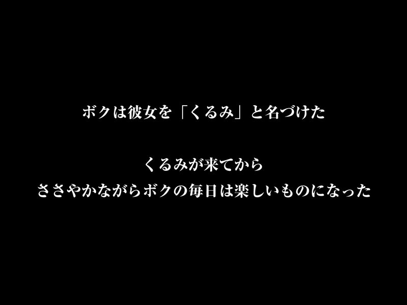 サンプル画像 12