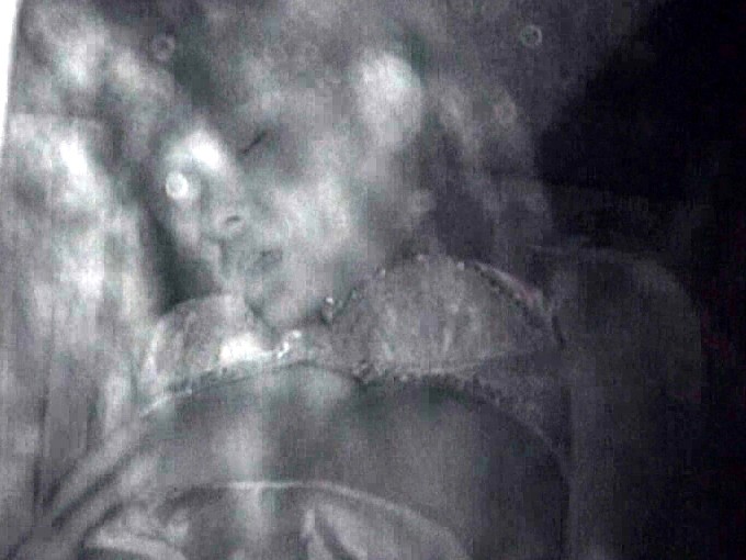 サンプル画像 13