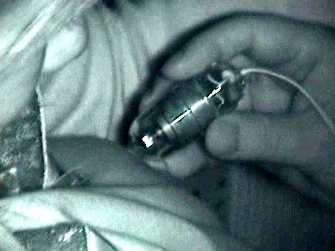 サンプル画像 16