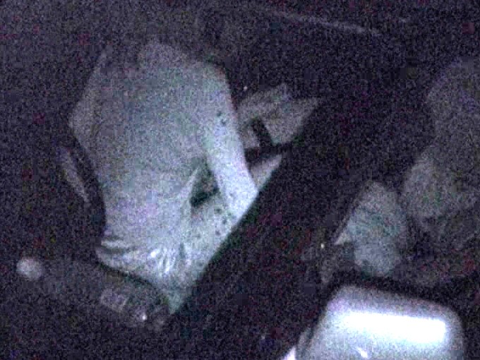 サンプル画像 5