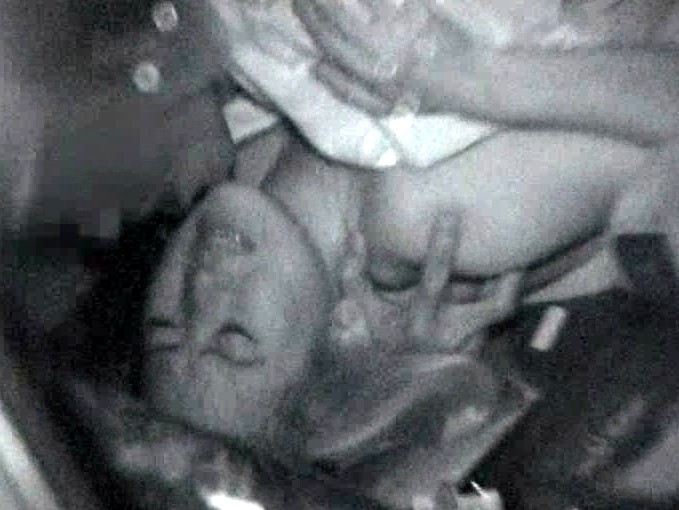サンプル画像 8
