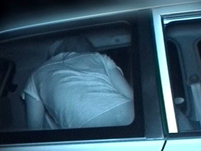 サンプル画像 13