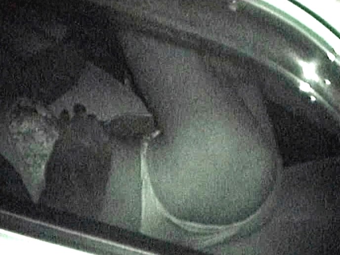 サンプル画像 8