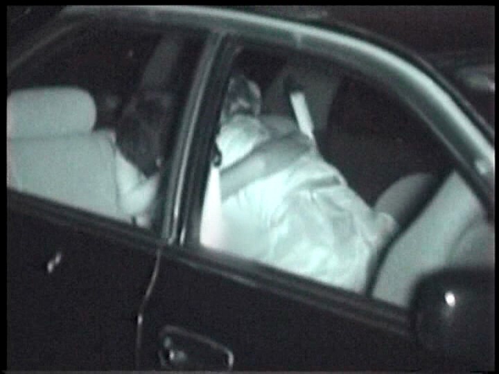 サンプル画像 15