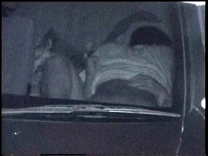 サンプル画像 12