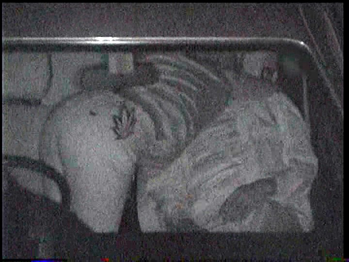 サンプル画像 12