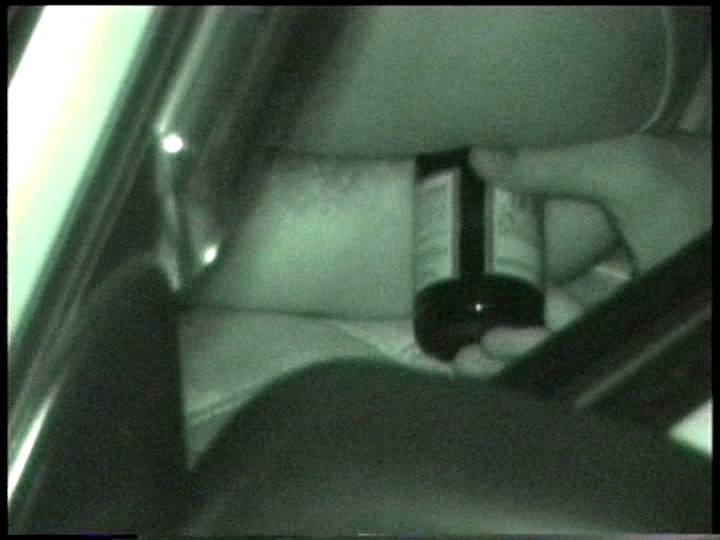 サンプル画像 5