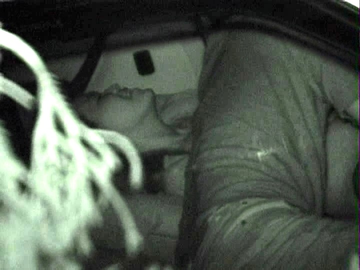 サンプル画像 19