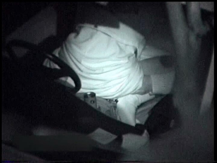 サンプル画像 5