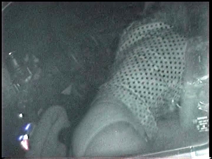 サンプル画像 10