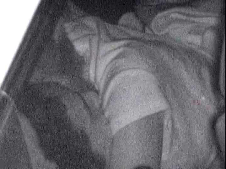 サンプル画像 21