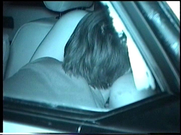 サンプル画像 15