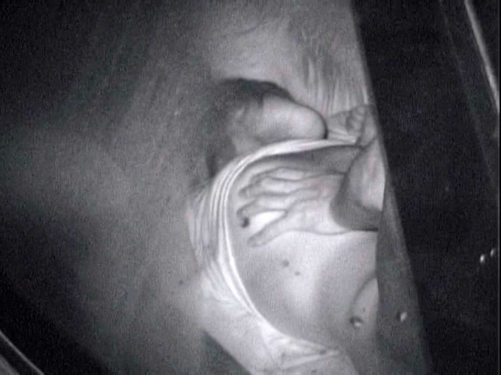 サンプル画像 5