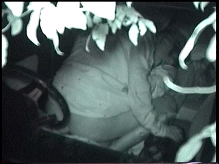 サンプル画像 16