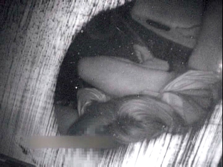 サンプル画像 4