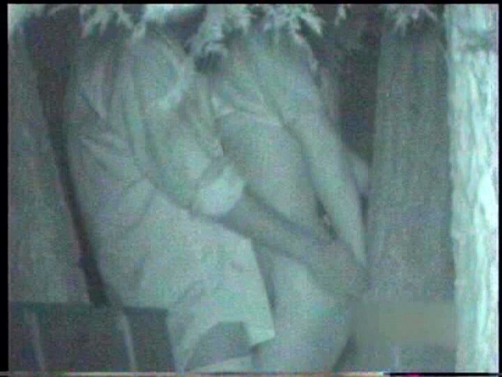 サンプル画像 6