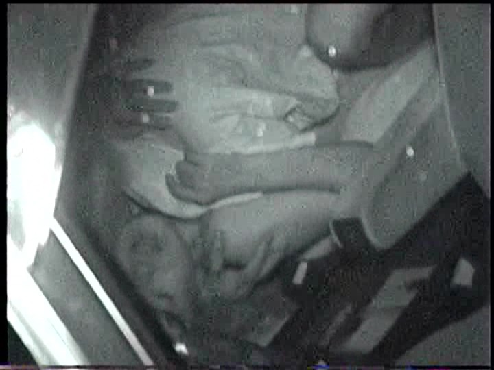 サンプル画像 7